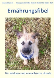 Kostenloser Download der Ernährungsfibel!